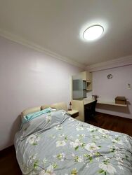 Stratton Park (D28), Terrace #584115391
